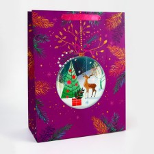 Package New Year's laminated 