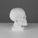 Anatomical gypsum figure: skull (cast with natural), 19 x 14 x 25 cm