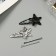 Invisibility for hair "Beatrice" (set 10 pcs) star, 5 and 5.5 cm, black silver