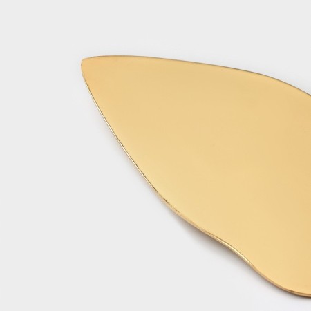 Elegance cake set, 2 items: knife length 28 cm, blade length 26 cm, gold color-3