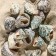 Set of shells Tektus Fenestratus, 100 g
