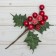 Decor "Winter Dreams" Red Berries, 16 cm