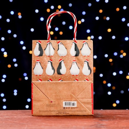 Gift Penguins package 18 x 22.3 x 10 cm-1