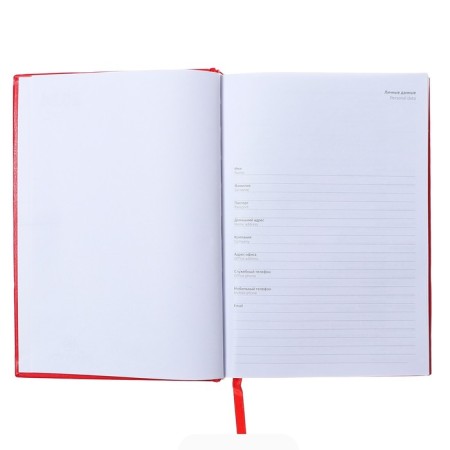Dated diary 2024, A5, 176 sheets, Attomex.orion, Bumvinyl cover, Lasse, Blok 70 g/m2, Red-2