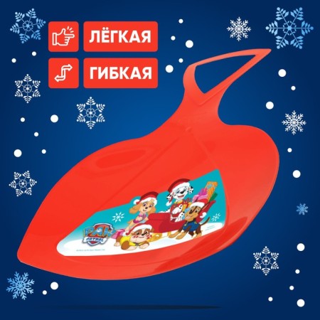 Ice PaW Patrol-2