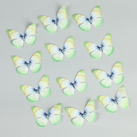 Decor for creativity "Butterfly", two -layer, set of 12 pcs., Size 1 pc. - 5 × 4 cm, green color-1