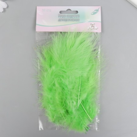 A set of decorative feathers "needlework", 20 pcs (lime color), pen length 13-16 cm-3