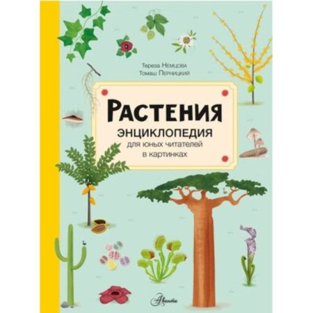 Plants. Nemtsova T.