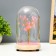 Nightlight "Flowers Pink" LED from batteries 3xlr44 11x11x19 cm Risalux