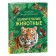 Encyclopedia "Amazing Animals"