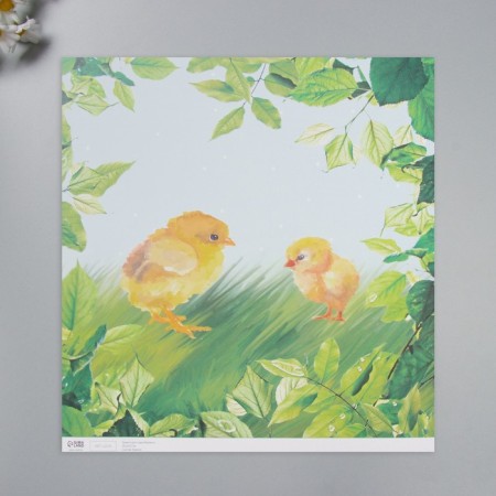 Scrapbooking paper "Chickens on the grass" density 180 grams set 5 pcs 30.5x32 cm-2
