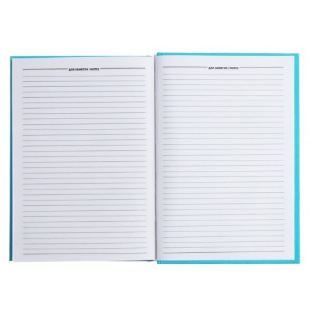 The diary is half -dantered for 4 years A5, 192 sheets, the cover of the boumville, turquoise-9