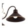 Ceiling EVOLUCE lamp. Sle120402-03. Ciolla. 3x60 watts, E27, 66x66x24 cm, dark -brown color