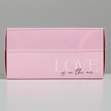 Bearbox under the bento-port with PVC lid, confectionery packaging "Love", 12 x 6 x 11.5 cm-1