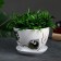 Flower Pot "Birds" 1.65 l, white