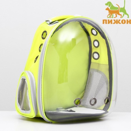 Backpack for carrying animals, transparent, 31 x 28 x 42 cm, yellow
