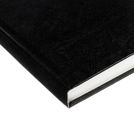Dated diary of 2025, A5, 168 sheets, boumville, black-3