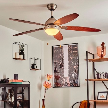 Ceiling fan with the lamp SUSALE, E14, 1x60W, steel, nickel, glass, white-1