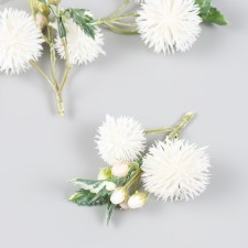 Flowers for decorating 