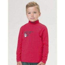 Turtleneck for the boy Pelican, height 110 cm, red color