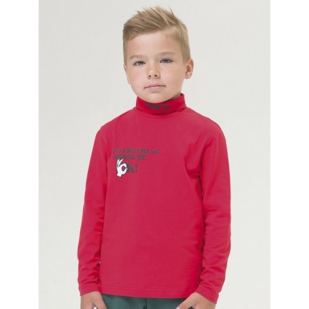 Turtleneck for the boy Pelican, height 110 cm, red color