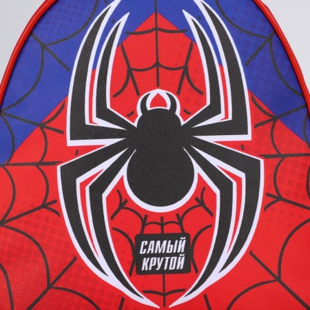 Baby backpack for the boy "Spider", district. 23x20.5 cm-2