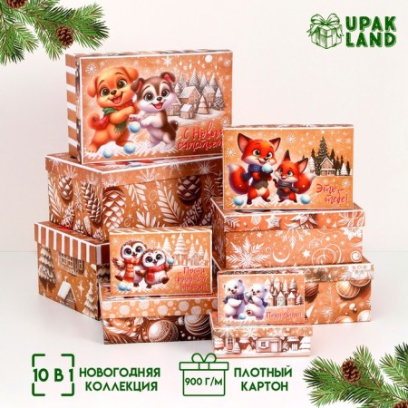 A set of boxes 10 in 1 "animals", 32.5 x 20 x 12.5 - 12 x 7 x 4 cm-1