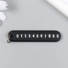 Keychain plastic 
