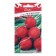 Seeds Redis "Risenbutter", C/P, 3 g
