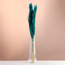 Set of dried flowers 