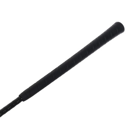 Whip of a gap-2