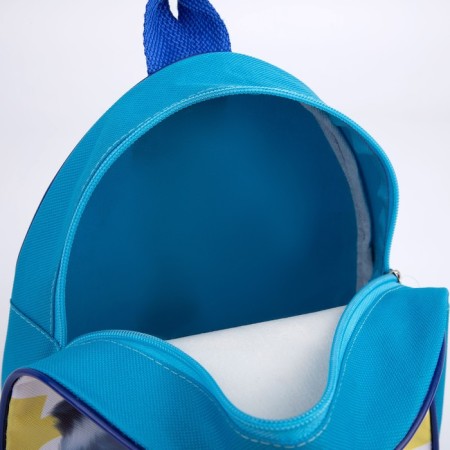 Baby backpack for the boy "Raccoon Skereiter", 23x20.5 cm, lightning department-5