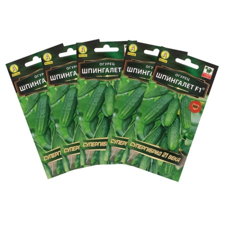 Cucumber "Spingalet" F1, parthenocarpic, set of 5 pcs