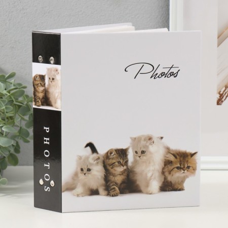 Photo album for 200 photos 10x15 cm "Cats-2 (4 cats)"