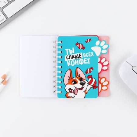 Notepad with A7 separator, 40 liters "March 8, Corgi"-3
