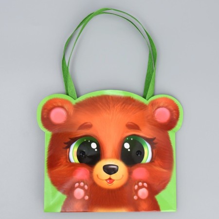 Carries for colors "Bear", 20 × 12 × 12 cm-4