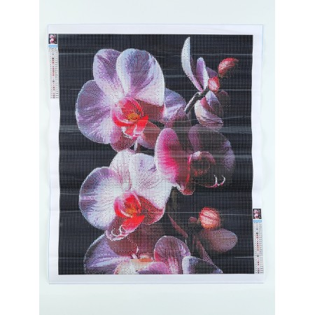 Diamond mosaic with full filling on the canch of "Orchids", 40 x 50 cm-2