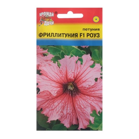 Falltunia flowers Fritunia "Rose F1", 8 pcs. in amp.