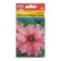 Falltunia flowers Fritunia "Rose F1", 8 pcs. in amp.
