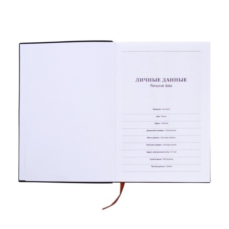 The diary is low, PVC cover, A5 format, 140 l, cell, with a pen, classic, mix-5