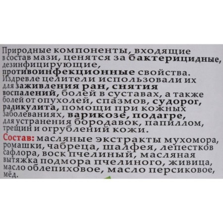 Monastery life-giving ointment with fly agaric, Solokh-Aul, 100 ml-1