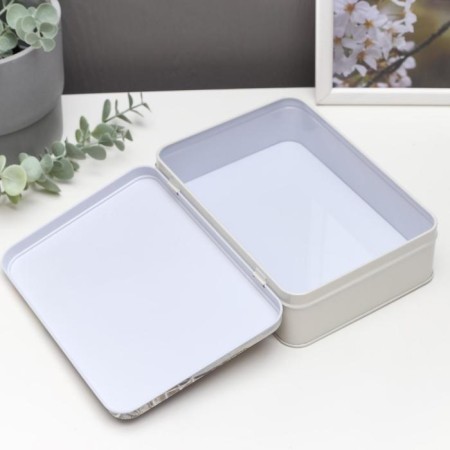 Casket metal rectangular "House with greens" 5.5x13.8x19.4 cm-1