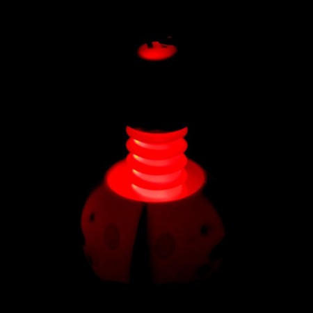 Developing toy "God's cow" light, species mix-5