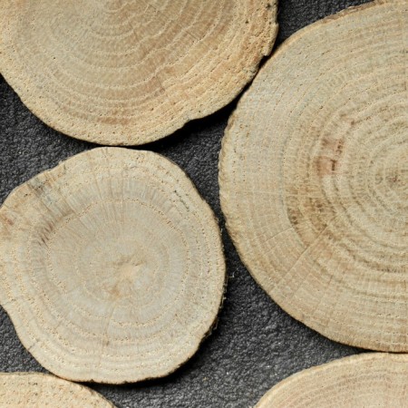 Saw a tree "oak", round, d = 4-7 cm, h = 3.5 mm-2