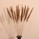 Set of dried flowers 80 cm (10 pcs) natural