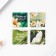 Magnetic bookmarks for books in the postcard "Teacher No. 1", 4 pcs