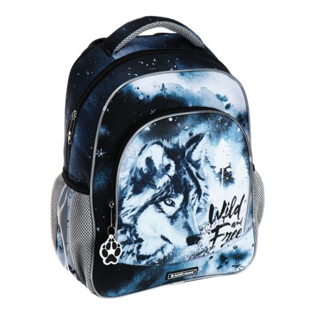 School backpack Erich Krause Ergoline 15l, 39 x 28 x 14 cm, ergonomic back, Timber Wolf 60100-1