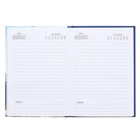 Deliciper of Leduced A5, 80 sheets, solid cover, glossy lamination, "office collage", offset block-3