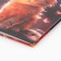 School Diary of 1-4 class, in a solid cover, 48 liters "September 1: Red Kitten"