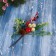 Decor "Winter Dreams" Berries Friges Leaves Bash, 19 cm